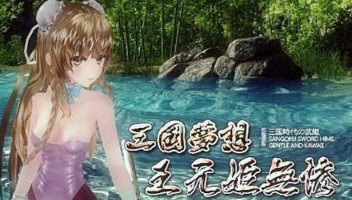 三国梦想：王元姫無惨 官方中文版 同人ARPG游戏 补 3.8G-夺宝游戏